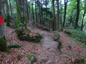  Wanderweg zur Luisenburg 